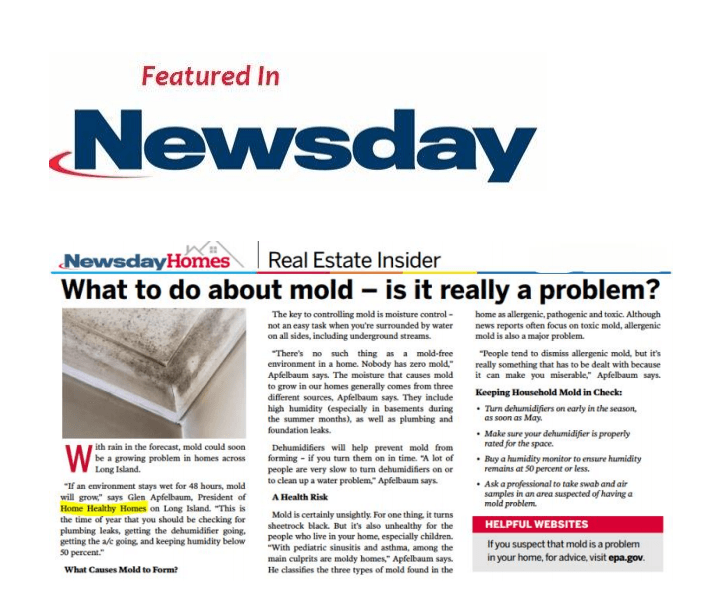 Signs of Mold How to Know if Your Home Has Mold